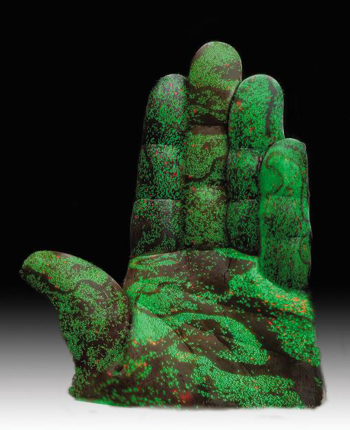 Human Hand Controlling Bacterial Biofilms - Lydia-Marié Joubert 제공