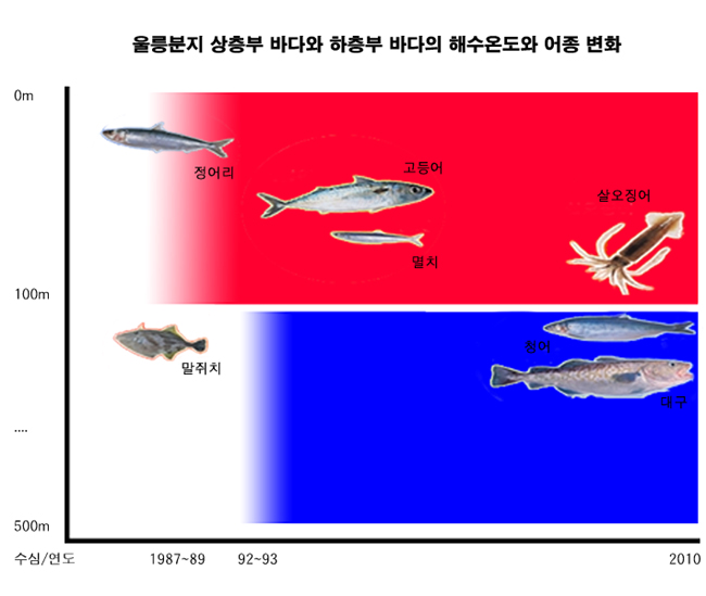 상층부 해수온도는 1987~1989년 수심 75m 기준으로 13~15도에서 17~18도까지 급격히 올랐다. 그 결과 동해안의 대표적 어종이던 정어리는 멸종에 가까울 정도로 찾아보기 어려워졌고, 16~22도 분포에서 살아가는 멸치와 고등어, 살오징어가 많아졌다. 살오징어는 현재 전체 어획량의 40~60%를 차지한다. 반대로 북쪽으로부터 차가운 물이 유입되는 하층부 해수온도는 상층부보다 3~5년 늦은 1992~1993년 수심 200m 기준 5도에서 1~2도 수준까지 떨어지며 더 차갑게 변했다. 밀도도 0.02%가량 증가했다. 그 결과 우점종이 12도 안팎에서 서식하는 말쥐치에서 2~10도에서 사는 청어와 대구로 바뀌었다. - 정석근 교수 제공