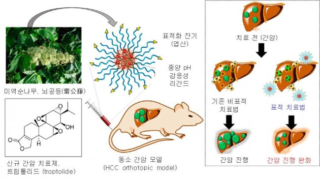 나노사이언스 이미지