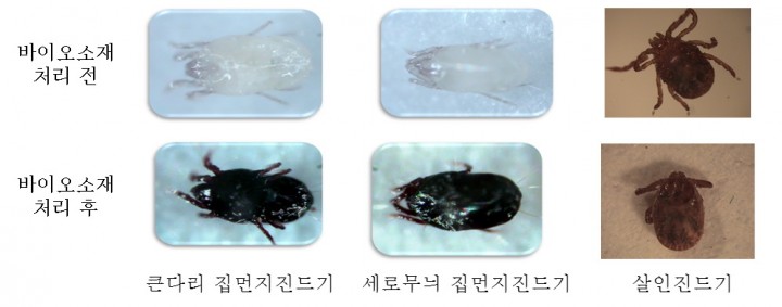 전북대 제공