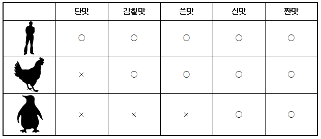 닭을 포함한 대부분의 조류는 단맛을 맛보지 못한다. 펭귄은 감칠맛과 쓴맛도 맛보지 못하는 것으로 확인됐다. - (주)동아사이언스 제공