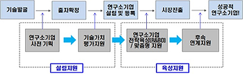 연구소기업 설립 과정을 나타낸 모식도. - 미래창조과학부 제공