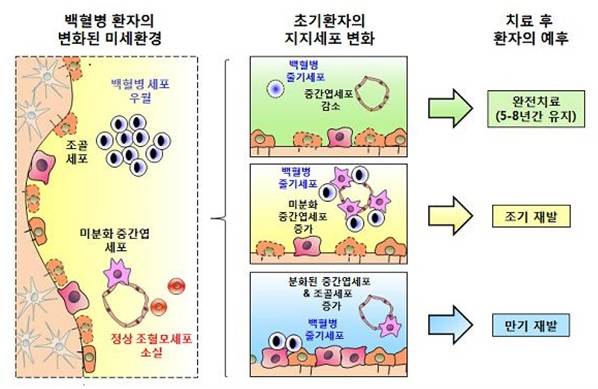 가톨릭대 제공