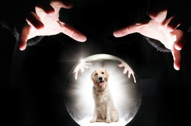 istockphoto 제공