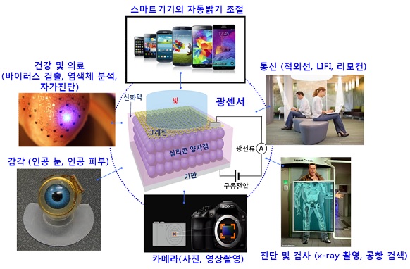 그래핀과 실리콘 양자점을 융합해 개발한 광센서의 응용 예시 - 경희대학교 응용물리학과 제공