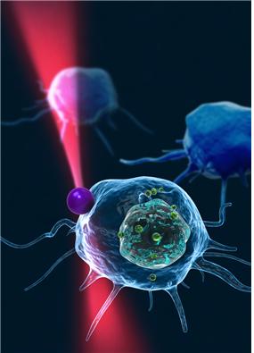 광학집게를 이용해 유리입자를 백혈구 위에 얹고 있는 모습. 연구진은 이 유리구슬의 정밀한 위치를 초당 60번 이상 확인해 세포의 위치는 물론 성분변화까지 측정가능한 기술을 개발했다 - KAIST 제공