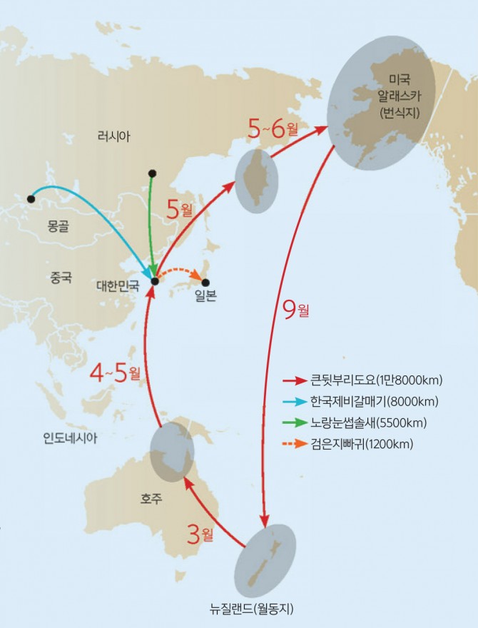과학동아 제공