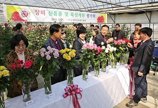 경기도농업기술원 제공
