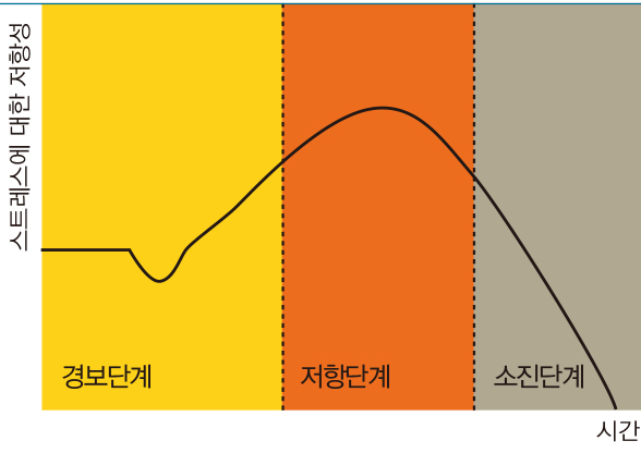 일반적응증후군의 진행과정 - 생명체의 항상성을 깨뜨리려는 변화, 즉 스트레스에 대응해 항상성을 유지하려는 반응이 일반적응증후군(GAS)이다. 스트레스가 장기간 계속되면 GAS의 세 번째 단계인 소진단계로 넘어가 각종 질환이 나타난다. - 과학동아 제공