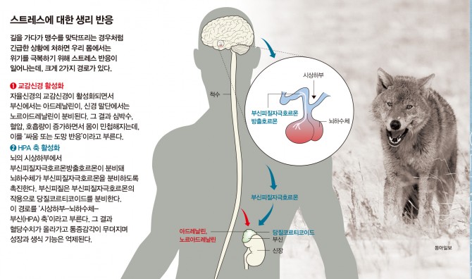 과학동아, 동아일보 제공