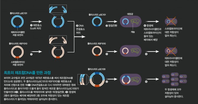 과학동아(일러스트 최은경) 제공