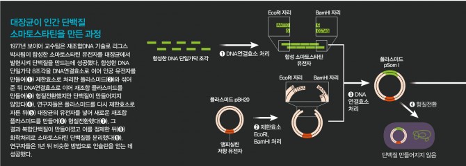 과학동아 (일러스트 최은경) 제공