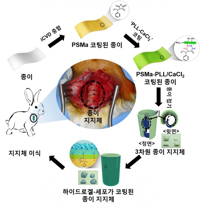 황석연 서울대 교수팀은 종이접기를 응용해 생체 조직 지지체를 개발하는데 성공했다. - 서울대 제공