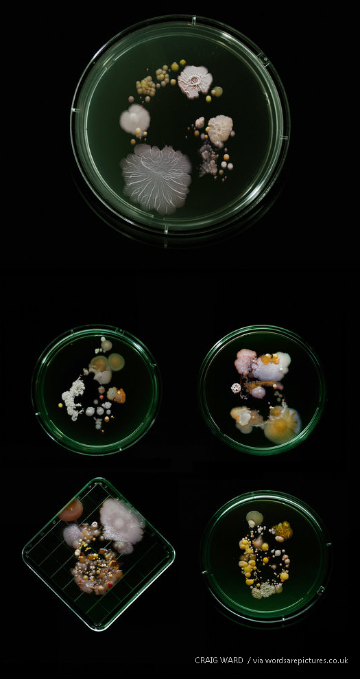 지하철 손잡이의 박테리아, 미국 뉴욕의 경우 - 팝뉴스 제공