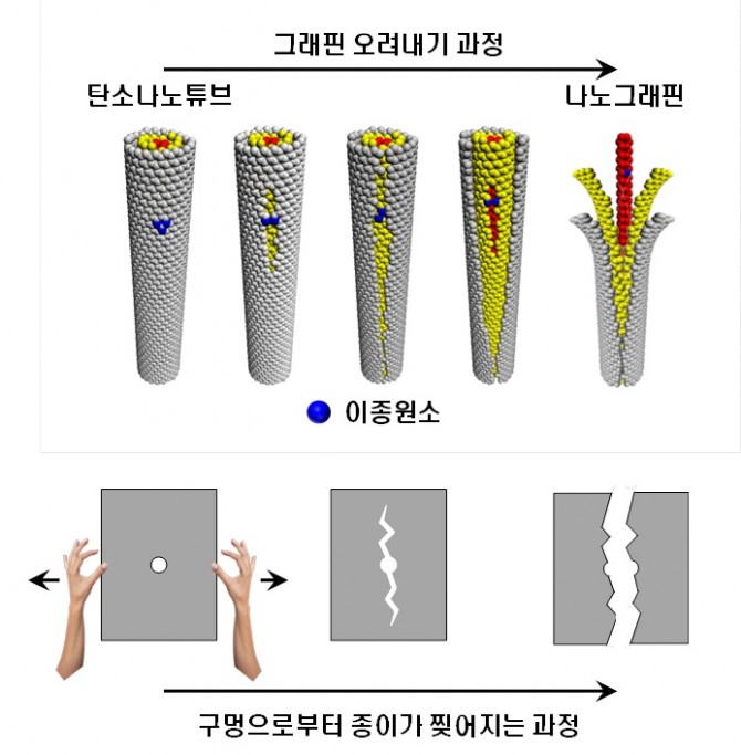 도핑된 이종원소(파란 색) 부터 탄소나노튜브가 ㅅ로로 길게 잘라지는 모습. 이는 종이에 구멍을 내고 찢는 과정과 유사하다. - KAIST 제공