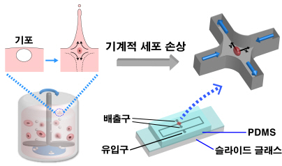 한국연구재단 제공