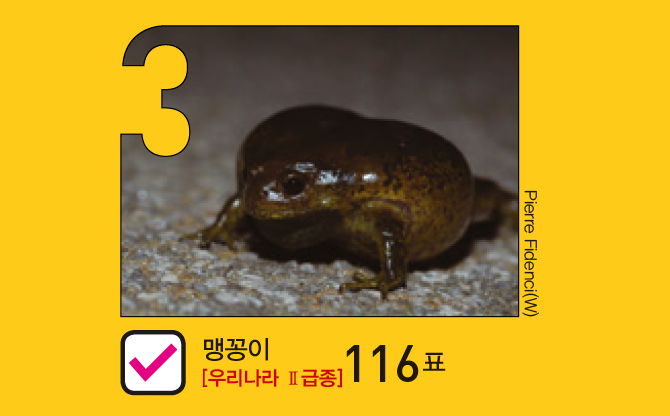어린이과학동아 제공