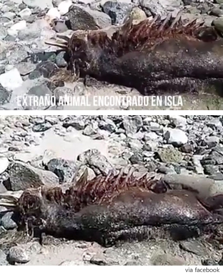 팝뉴스 제공