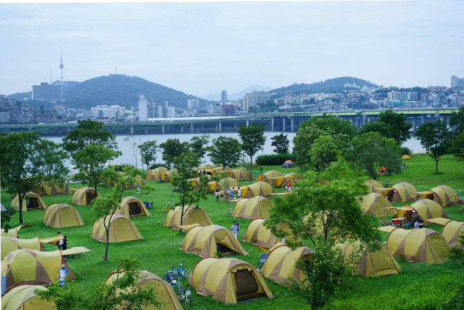 캠핑의 꽃