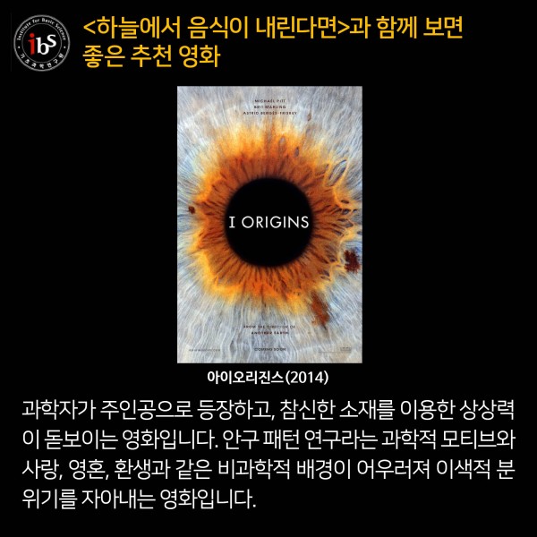 ibs 제공