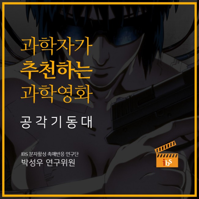 IBS 제공