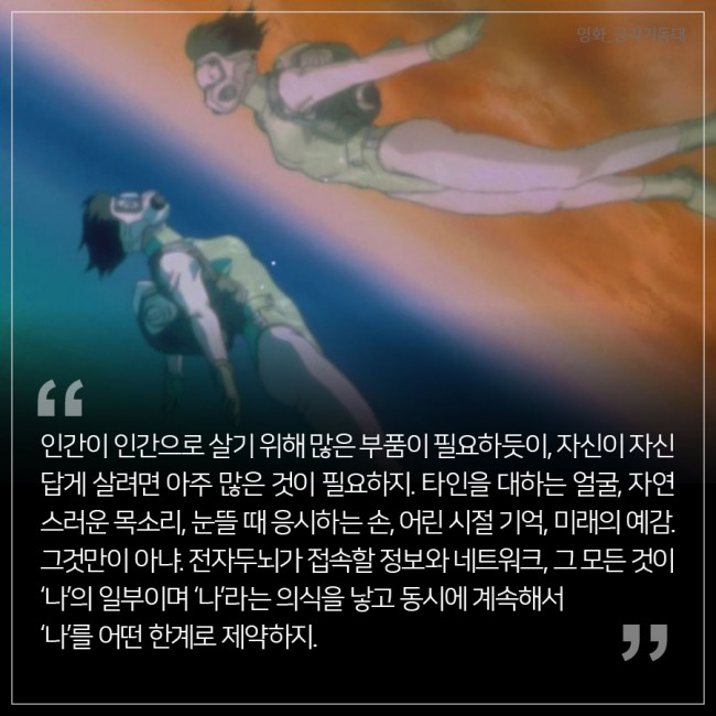 IBS 제공