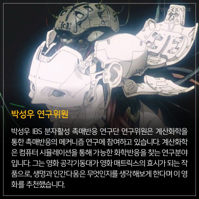 IBS 제공