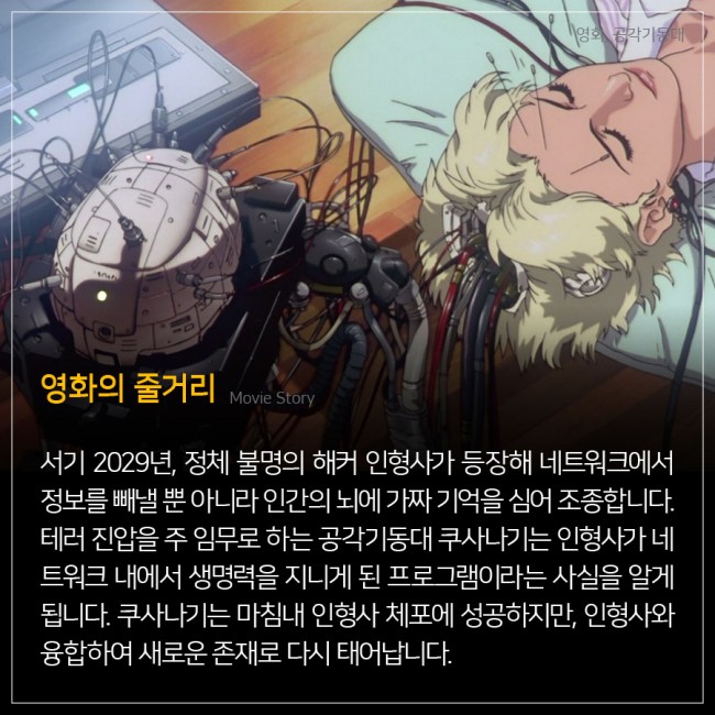 IBS 제공
