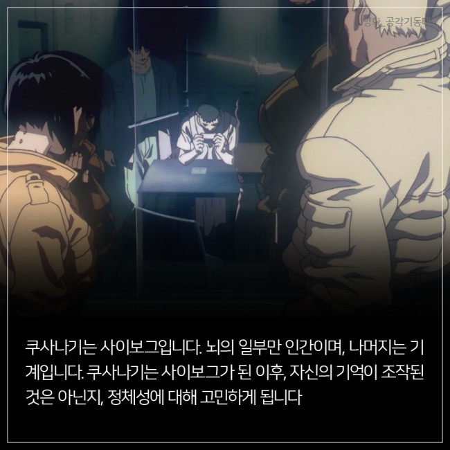 IBS 제공