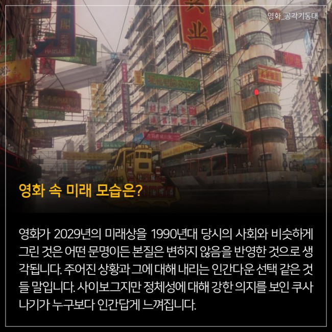 IBS 제공