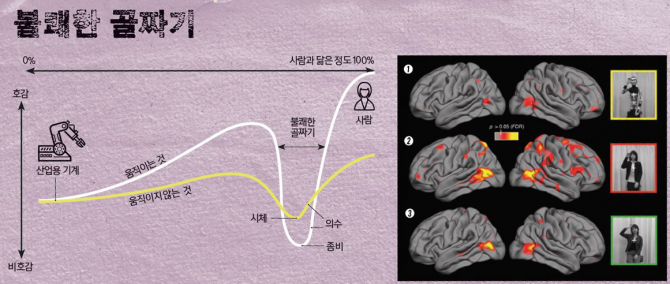 ‘불쾌한 골짜기’가 실제로 존재할까? 미국 UC샌디에이고 연구팀의 연구 결과, 사람들이 일반 로봇을 볼 때에는(①) 뇌가 활성화하는 부분이 사람을 볼 때와 같았다(③). 하지만 휴머노이드를 볼 때(②)는 시각을 느끼는 부분과 감정을 느끼는 부분이 극적으로 활성화됐다. 휴머노이드가 거부감을 준다는 뜻이다. - Oxford Journals 제공