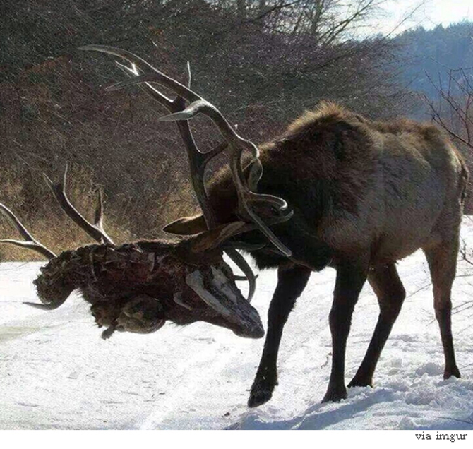 팝뉴스 제공