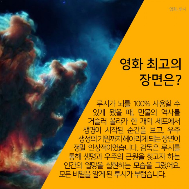 인간의 뇌, 무한한 가능성을 품은 미지의 세계 - IBS 제공