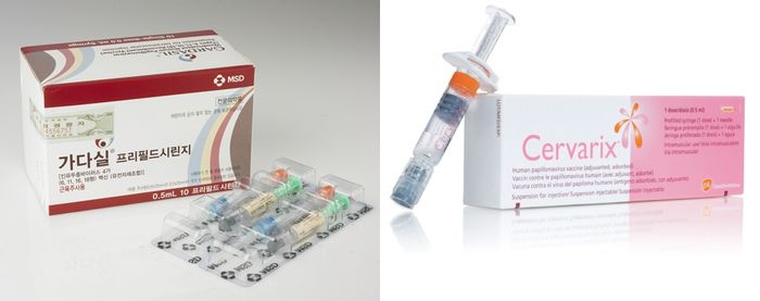 자궁경부암 백신 가다실(왼쪽), 서바릭스 제품. - MSD, GSK 제공