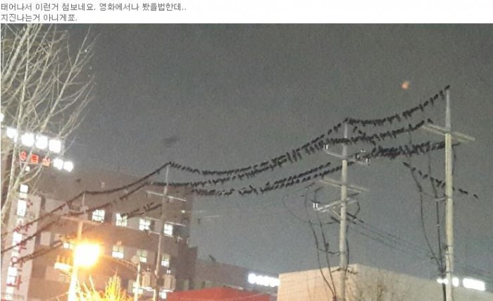 http://cafe.naver.com/hdmom/271157 제공