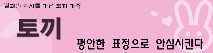 (이미지 소스: GIB) 제공