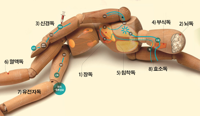 사람이 일반적으로 노출될 수 있는 독은? - (주)동아사이언스(과학동아 2012년 4월호) 제공