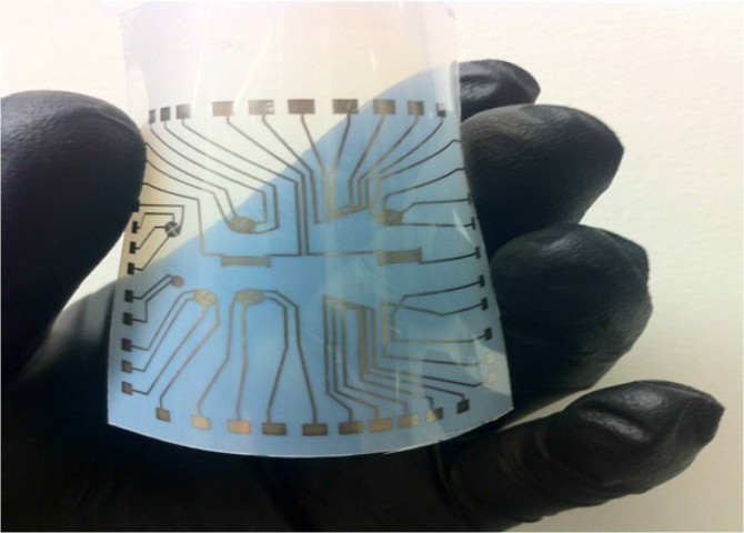 로널드 데이비스 미국 스탠퍼드대 교수팀이 만든 랩온어칩의 모습. - 미국 스탠퍼드대 제공