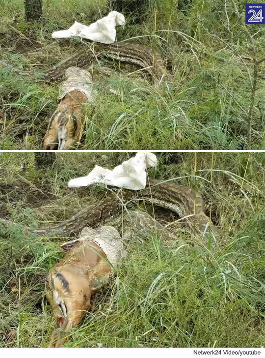 팝뉴스 제공