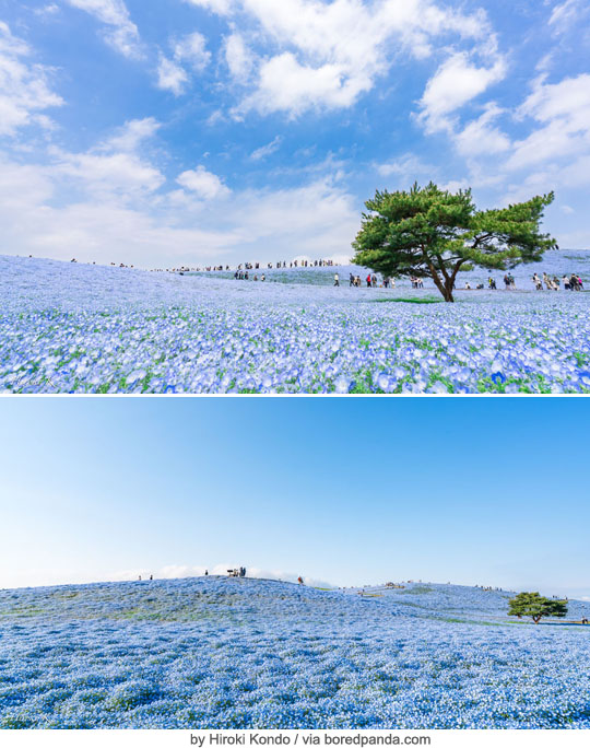 팝뉴스 제공