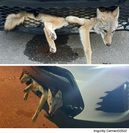 팝뉴스 제공