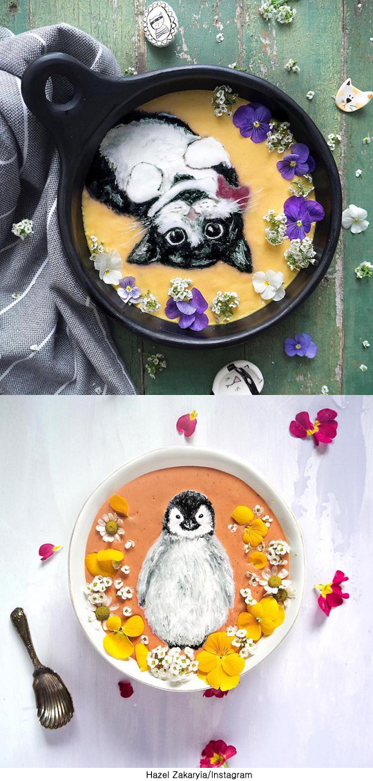 팝뉴스 제공