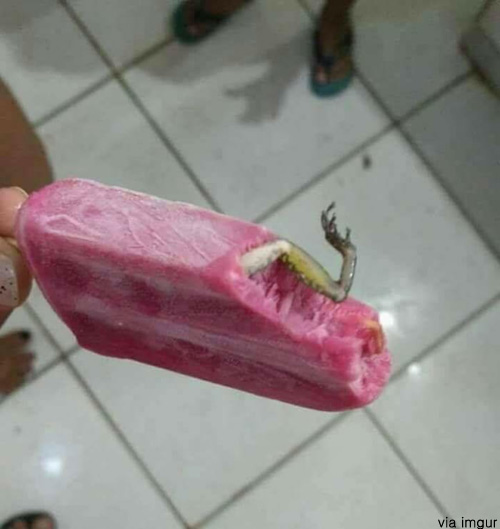 팝뉴스 제공