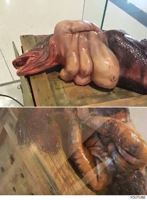 팝뉴스 제공