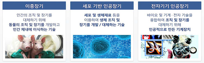 한국과학기술기획평가원 제공