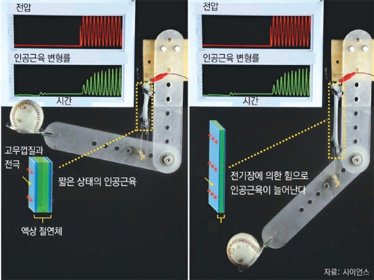 동아일보 제공