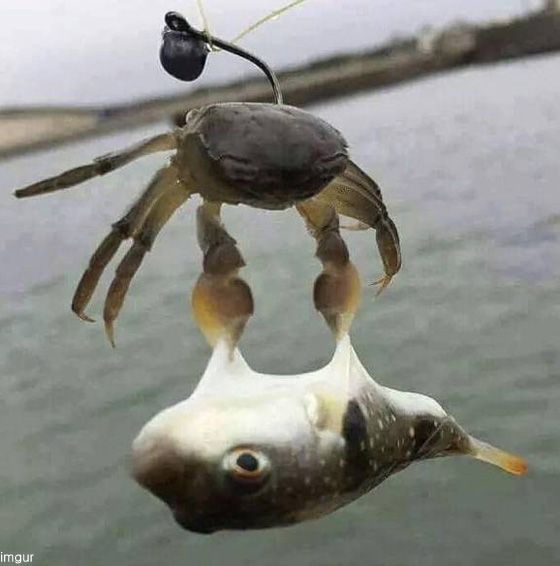 일석이조 이미지
