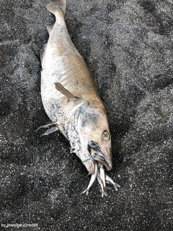 팝뉴스 제공