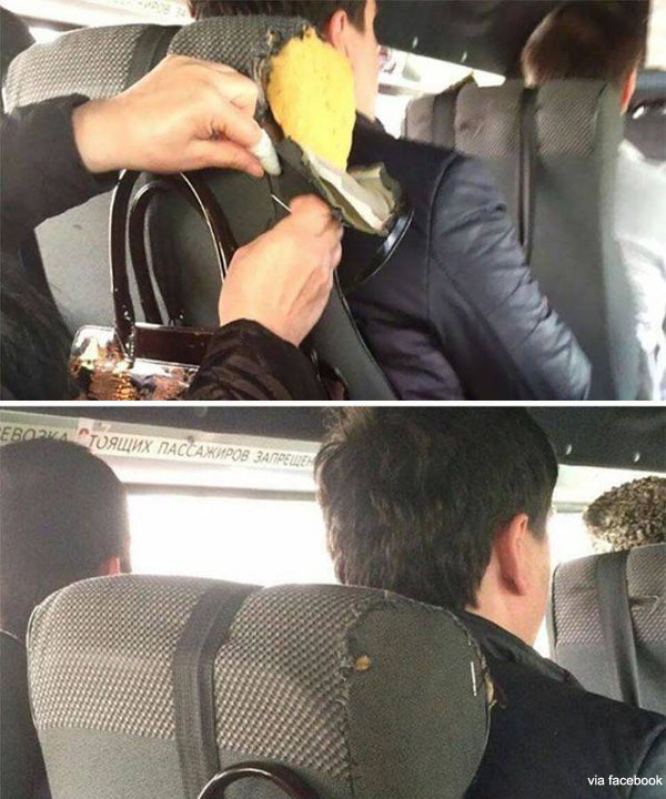 팝뉴스 제공