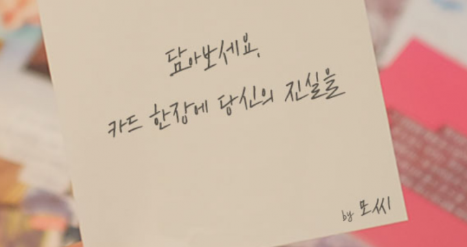 모씨 홈페이지 캡쳐